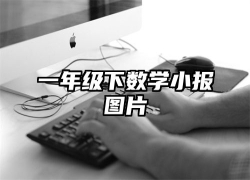 一年级下数学小报图片