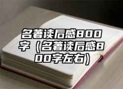 名著读后感800字（名著读后感800字左右）