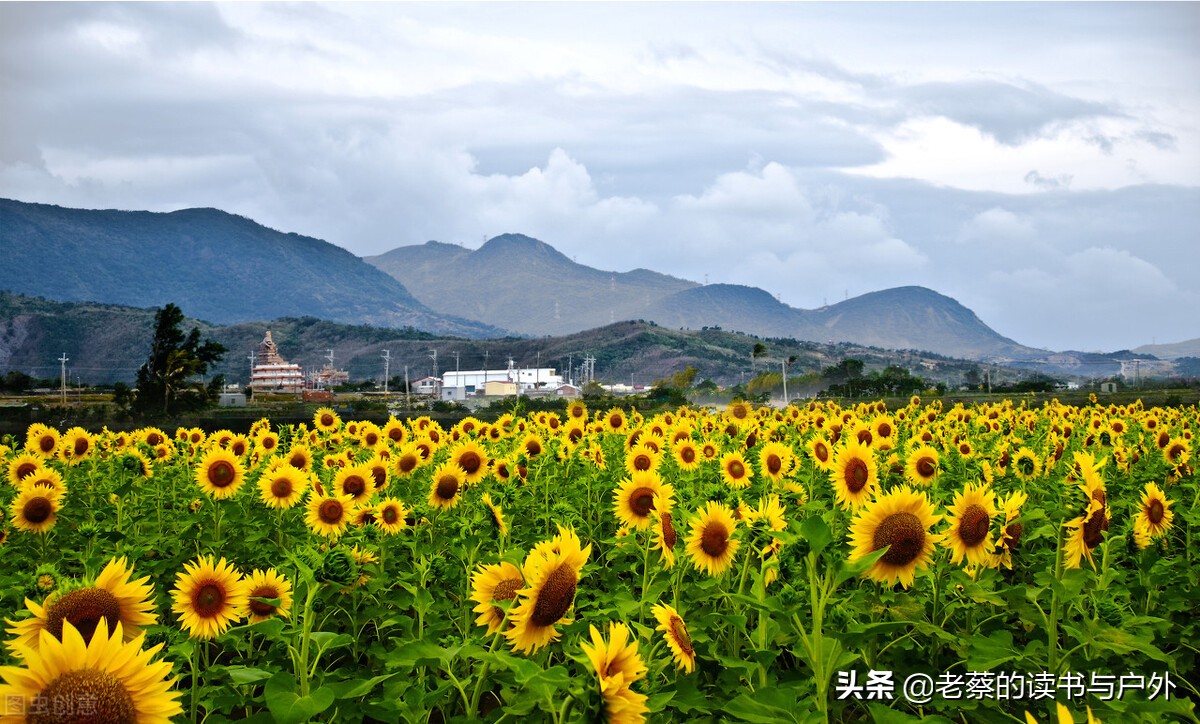 读书笔记的写作要点_读书笔记具体写什么内容_读书笔记主要写什么