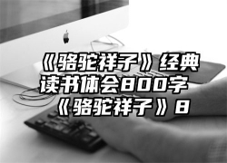 《骆驼祥子》经典读书体会800字 《骆驼祥子》8