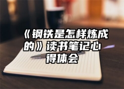 《钢铁是怎样炼成的》读书笔记心得体会