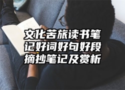 文化苦旅读书笔记好词好句好段摘抄笔记及赏析