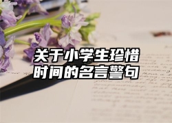 关于小学生珍惜时间的名言警句