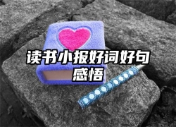 读书小报好词好句感悟