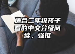 适合二年级孩子看的中文分级阅读，强推