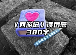 《西游记》读后感300字