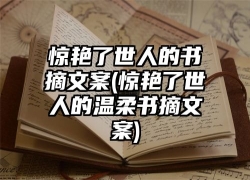 惊艳了世人的书摘文案(惊艳了世人的温柔书摘文案)