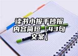 读书小报手抄报内容简短【43句文案】