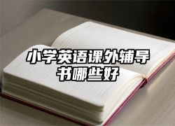 小学英语课外辅导书哪些好