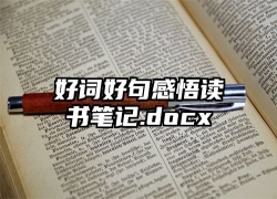 好词好句感悟读书笔记.docx