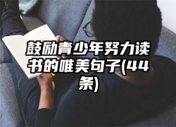 鼓励青少年努力读书的唯美句子(44条)