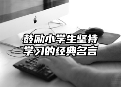 鼓励小学生坚持学习的经典名言