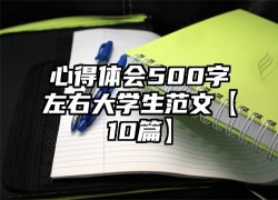 心得体会500字左右大学生范文【10篇】