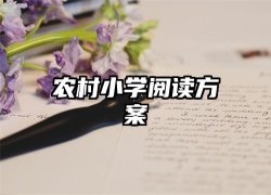 农村小学阅读方案